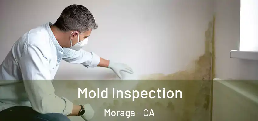  Mold Inspection Moraga - CA
