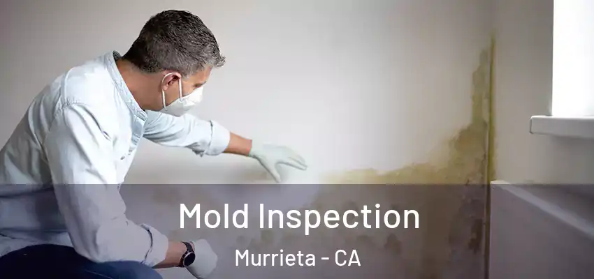  Mold Inspection Murrieta - CA