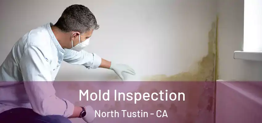  Mold Inspection North Tustin - CA