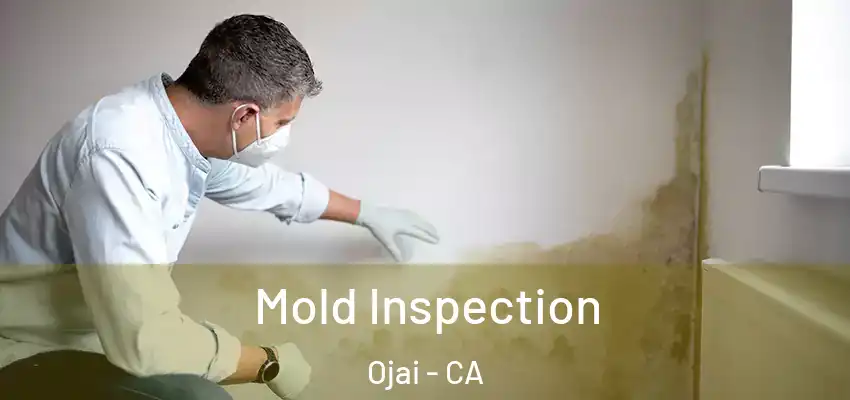  Mold Inspection Ojai - CA