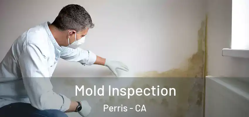  Mold Inspection Perris - CA