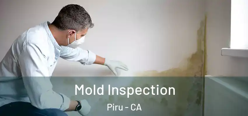  Mold Inspection Piru - CA
