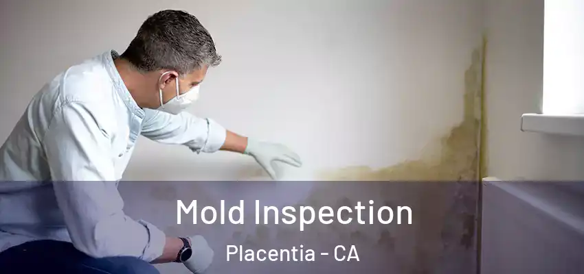  Mold Inspection Placentia - CA