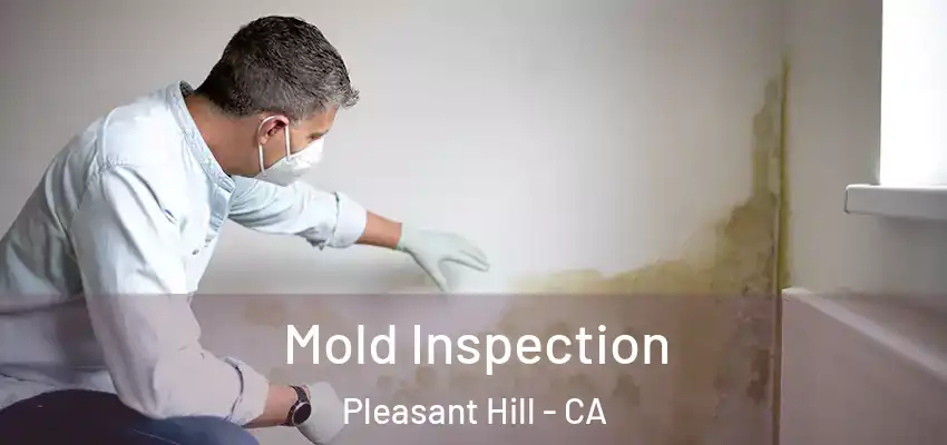  Mold Inspection Pleasant Hill - CA
