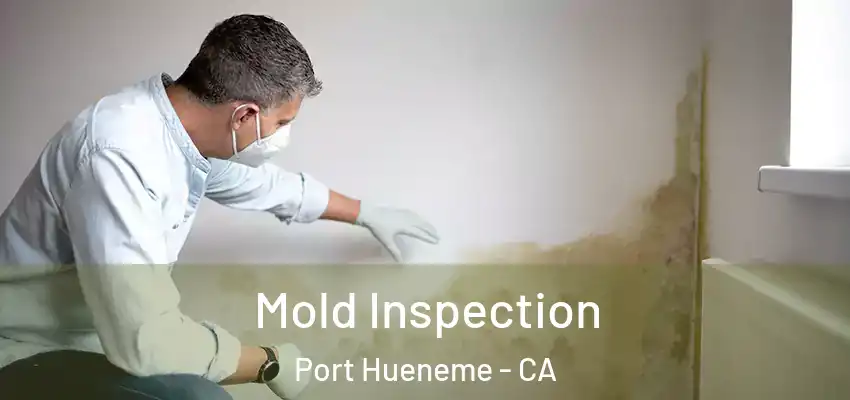 Mold Inspection Port Hueneme - CA