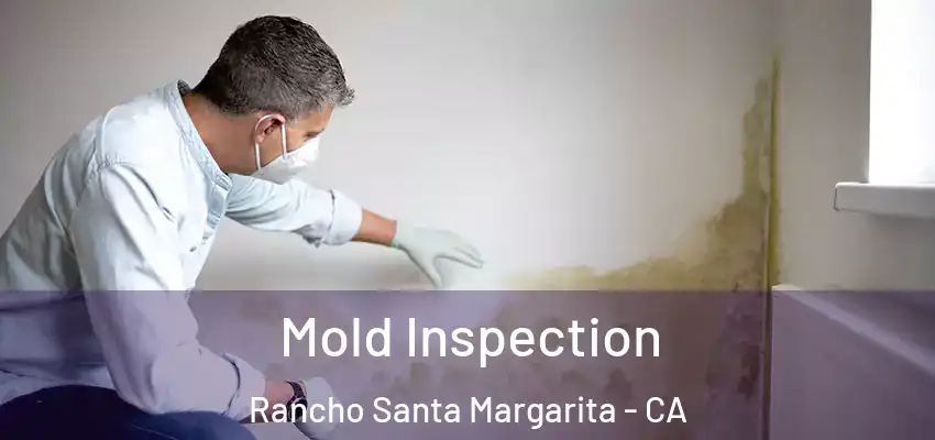  Mold Inspection Rancho Santa Margarita - CA