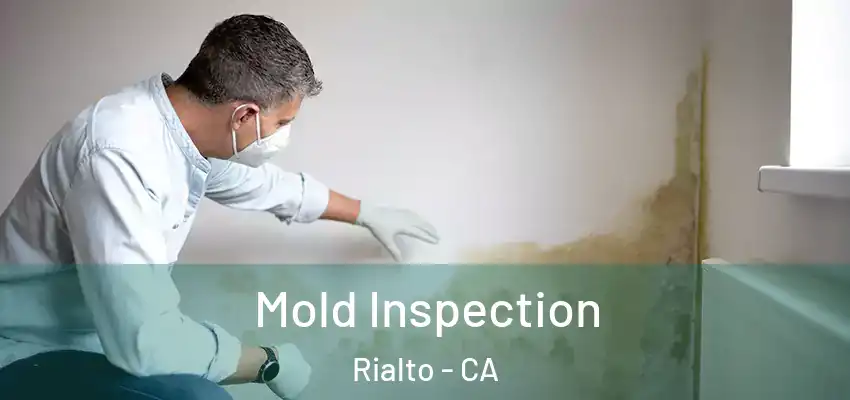  Mold Inspection Rialto - CA