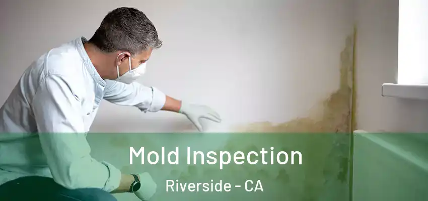  Mold Inspection Riverside - CA