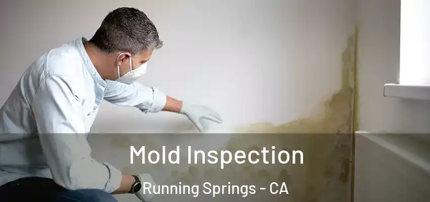  Mold Inspection Running Springs - CA