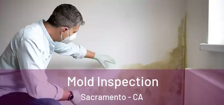  Mold Inspection Sacramento - CA