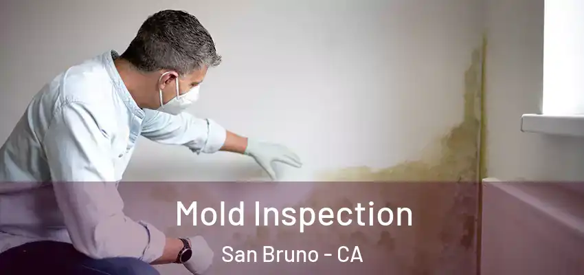 Mold Inspection San Bruno - CA