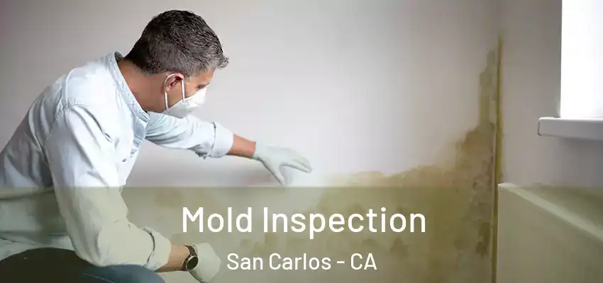  Mold Inspection San Carlos - CA