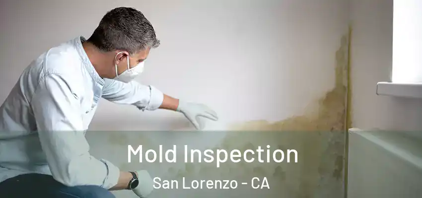  Mold Inspection San Lorenzo - CA