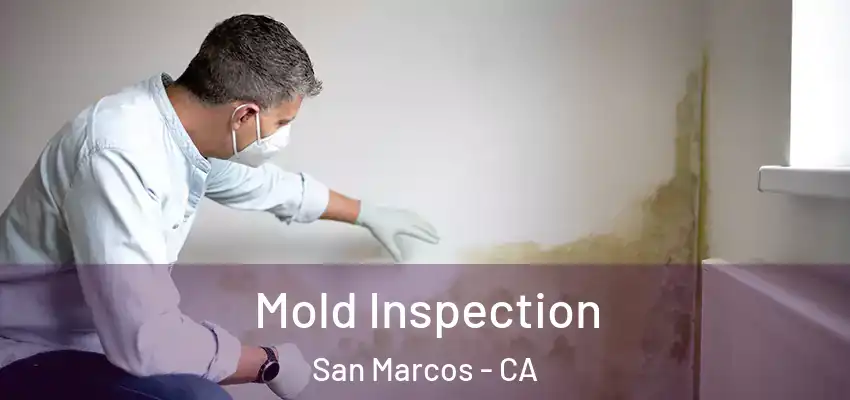  Mold Inspection San Marcos - CA