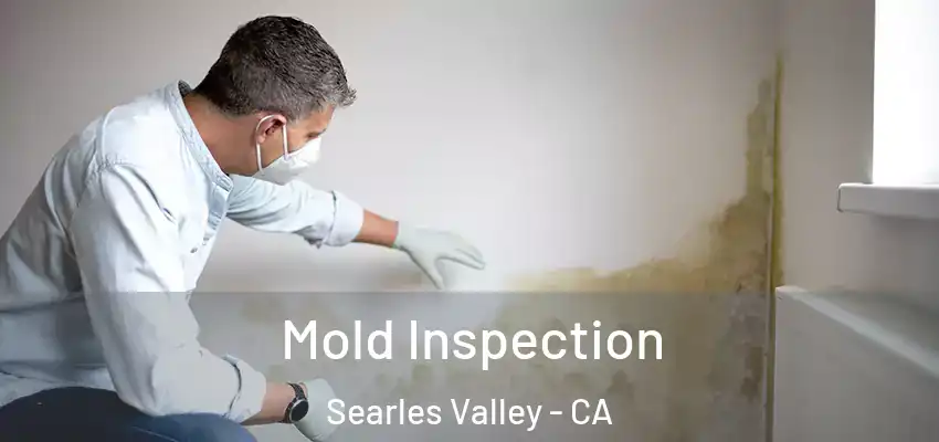  Mold Inspection Searles Valley - CA