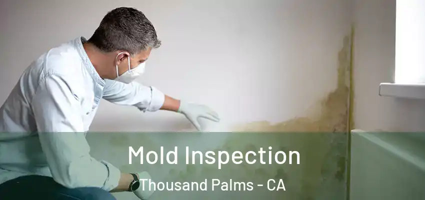  Mold Inspection Thousand Palms - CA