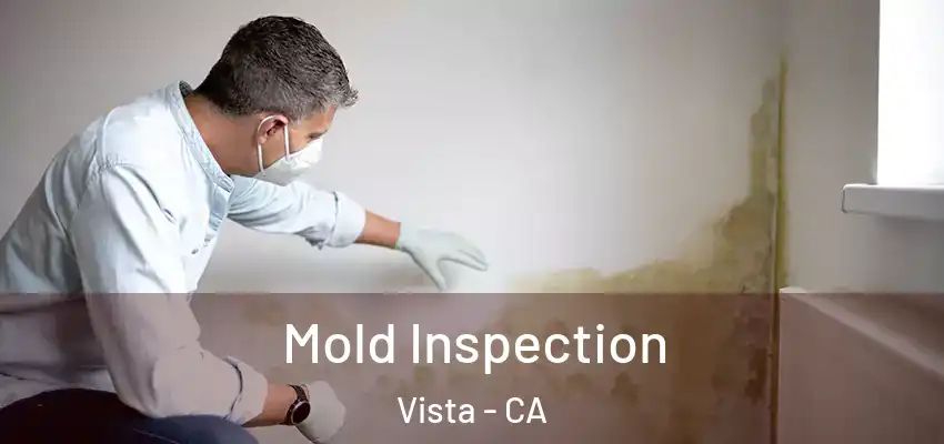  Mold Inspection Vista - CA
