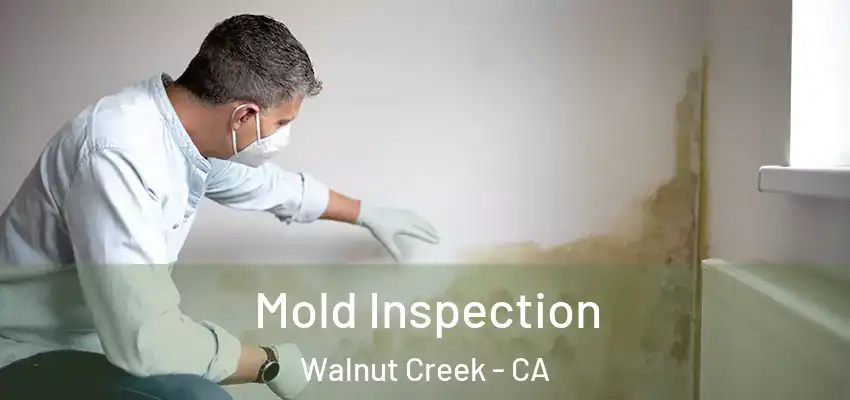  Mold Inspection Walnut Creek - CA