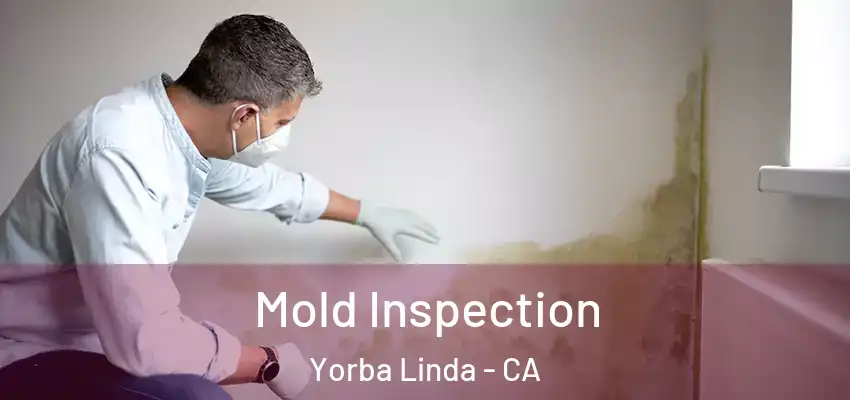  Mold Inspection Yorba Linda - CA