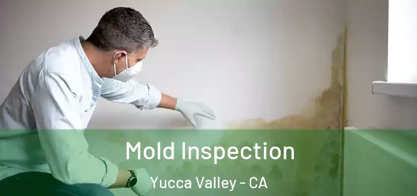  Mold Inspection Yucca Valley - CA