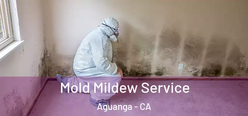  Mold Mildew Service Aguanga - CA