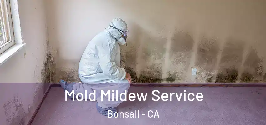  Mold Mildew Service Bonsall - CA