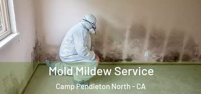  Mold Mildew Service Camp Pendleton North - CA