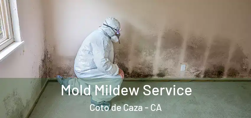  Mold Mildew Service Coto de Caza - CA