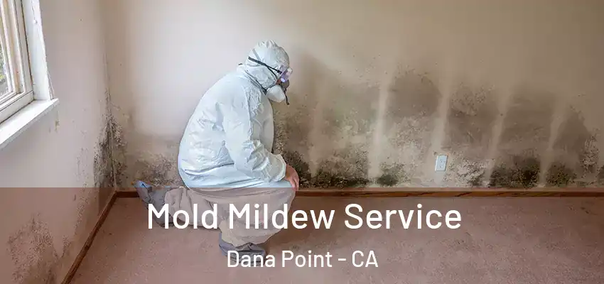  Mold Mildew Service Dana Point - CA