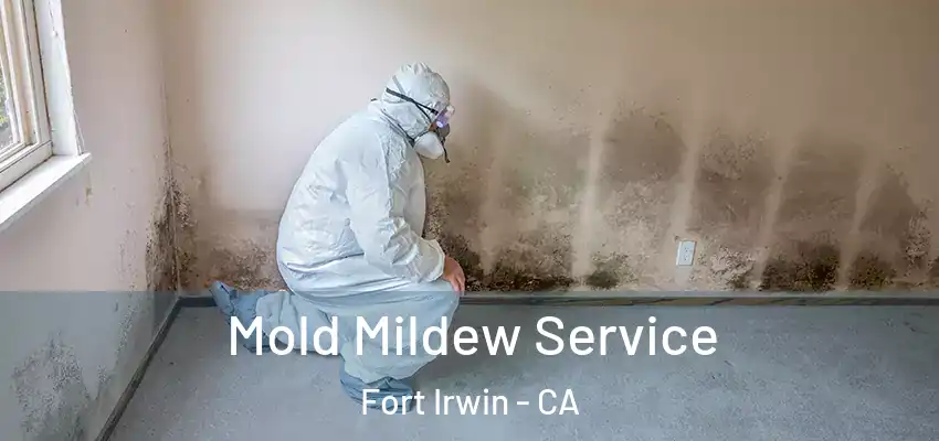  Mold Mildew Service Fort Irwin - CA