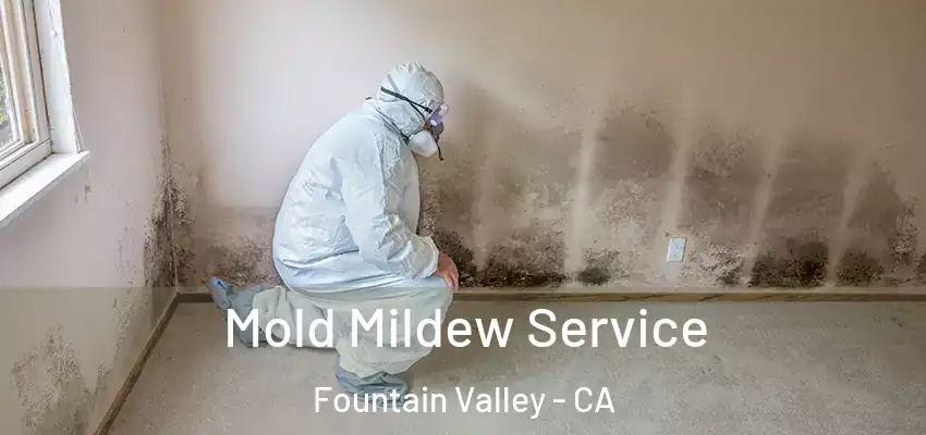  Mold Mildew Service Fountain Valley - CA