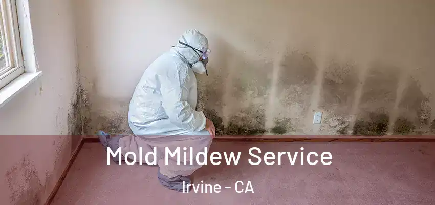  Mold Mildew Service Irvine - CA