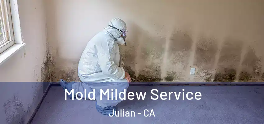  Mold Mildew Service Julian - CA