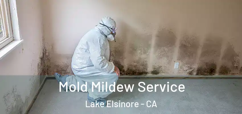  Mold Mildew Service Lake Elsinore - CA