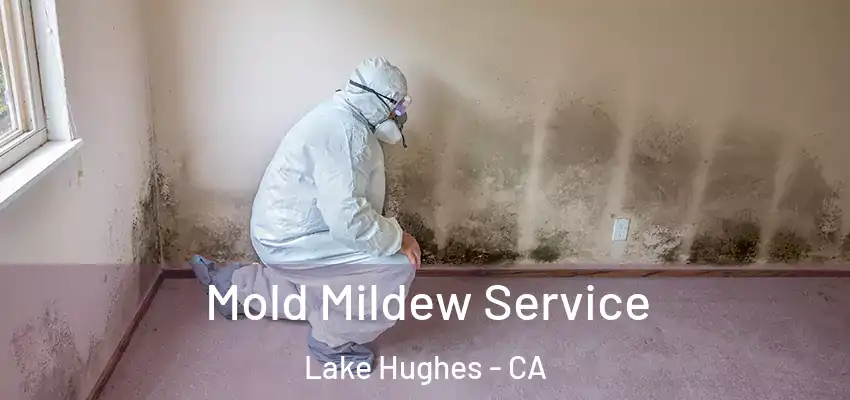  Mold Mildew Service Lake Hughes - CA