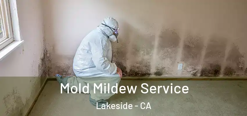  Mold Mildew Service Lakeside - CA