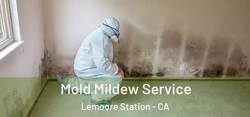  Mold Mildew Service Lemoore Station - CA
