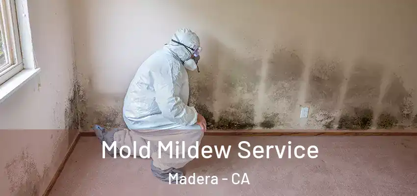  Mold Mildew Service Madera - CA