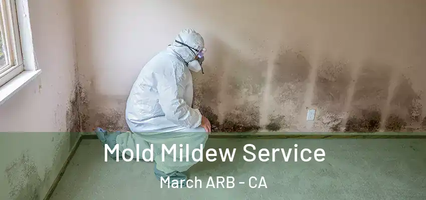  Mold Mildew Service March ARB - CA