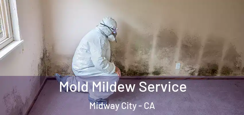  Mold Mildew Service Midway City - CA
