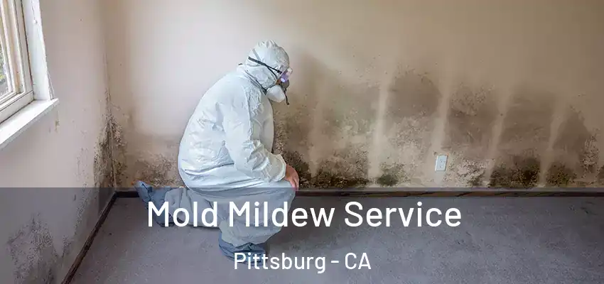  Mold Mildew Service Pittsburg - CA