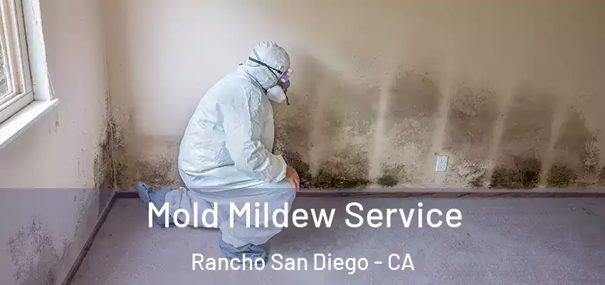  Mold Mildew Service Rancho San Diego - CA
