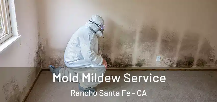  Mold Mildew Service Rancho Santa Fe - CA