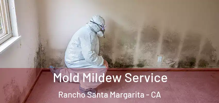  Mold Mildew Service Rancho Santa Margarita - CA