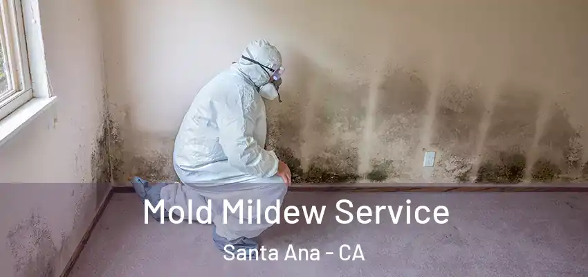  Mold Mildew Service Santa Ana - CA
