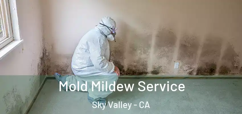  Mold Mildew Service Sky Valley - CA