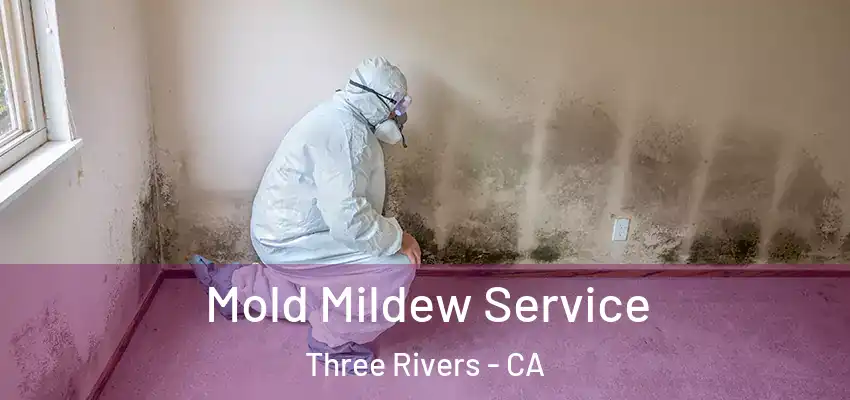  Mold Mildew Service Three Rivers - CA
