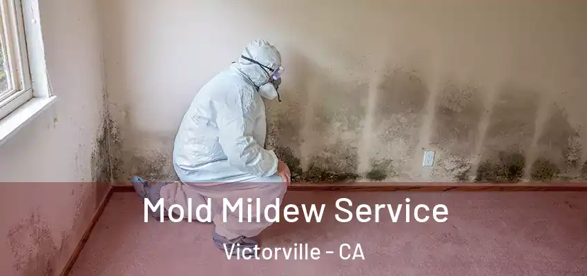  Mold Mildew Service Victorville - CA