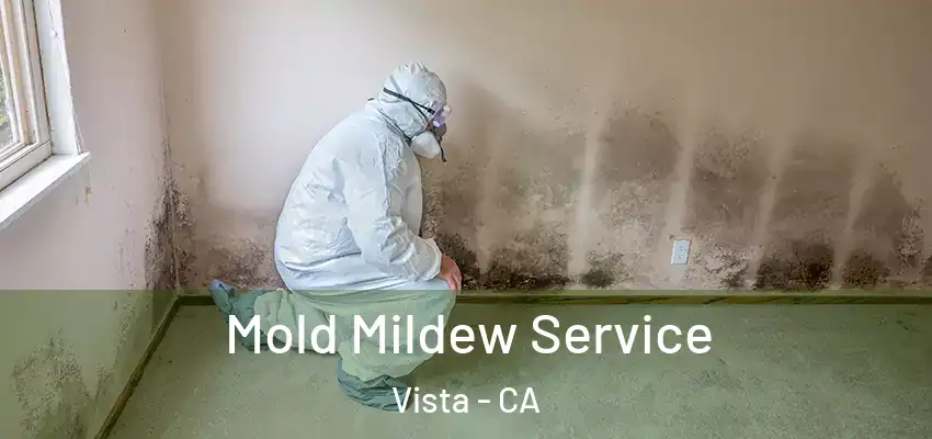  Mold Mildew Service Vista - CA