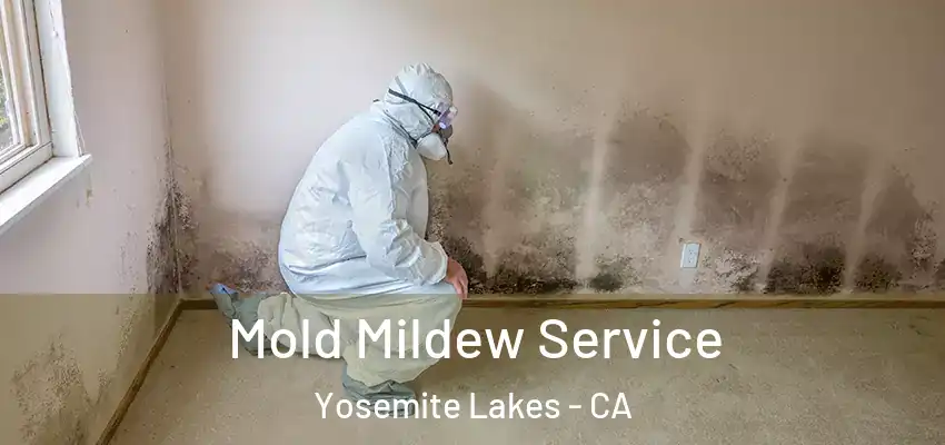  Mold Mildew Service Yosemite Lakes - CA